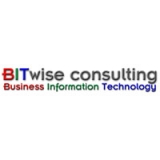 BITwise Consulting